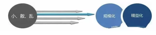 金百博·(中国区)有限公司官网