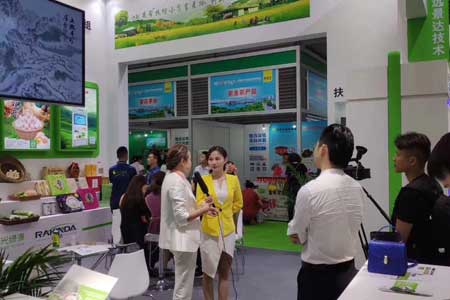 金百博·(中国区)有限公司官网