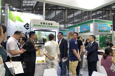 金百博·(中国区)有限公司官网